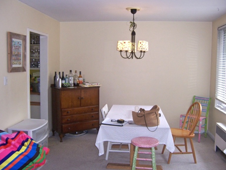 Condo Renovation in Glover Park DC