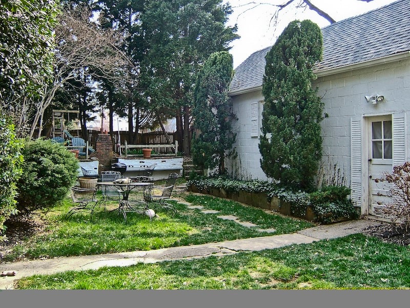 backyard BEFORE renovation