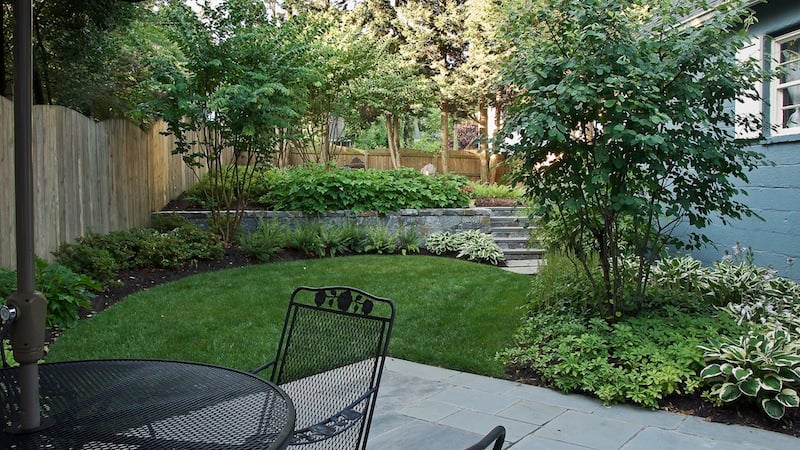 backyard AFTER renovation