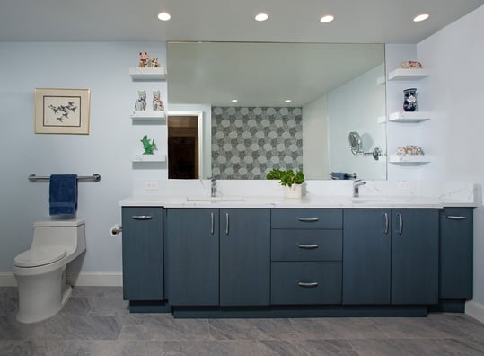 Contemporary Condo Bathroom Remodel