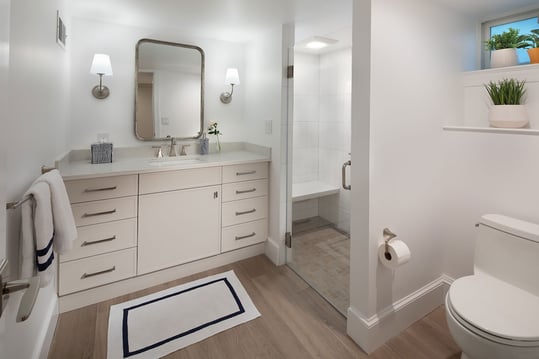 Guest Bath and Powder Room Remodel
