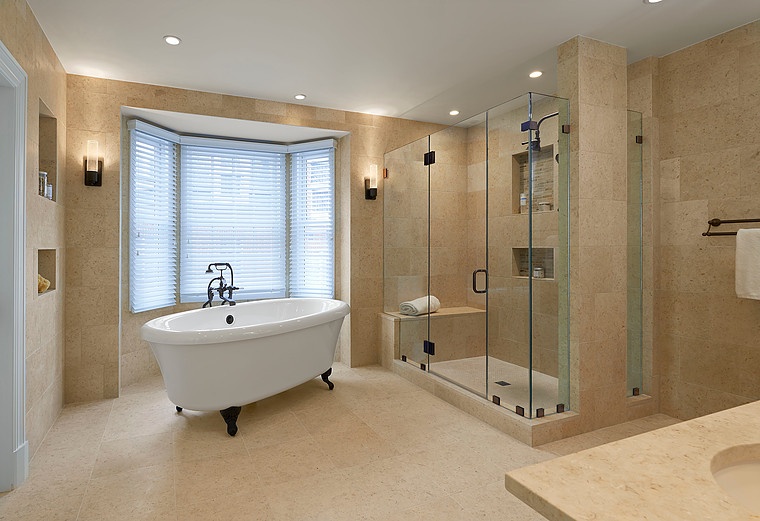 Master Tub and Shower